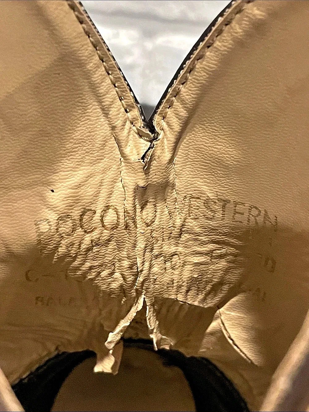 Pocono Western pocono western